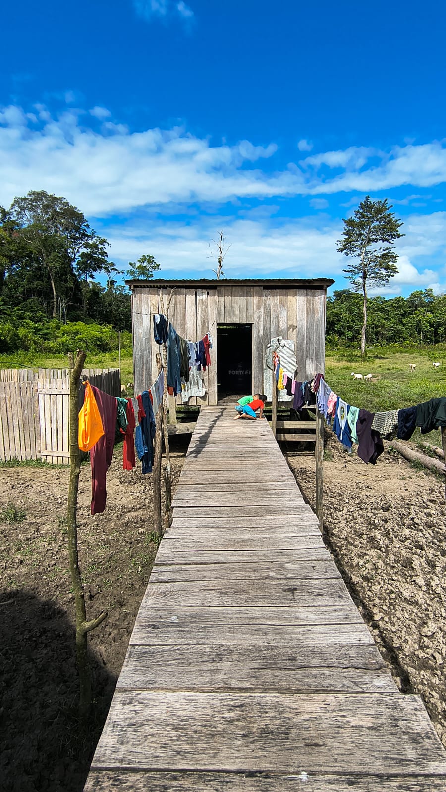 Casa de madeira e o caminho de tábuas