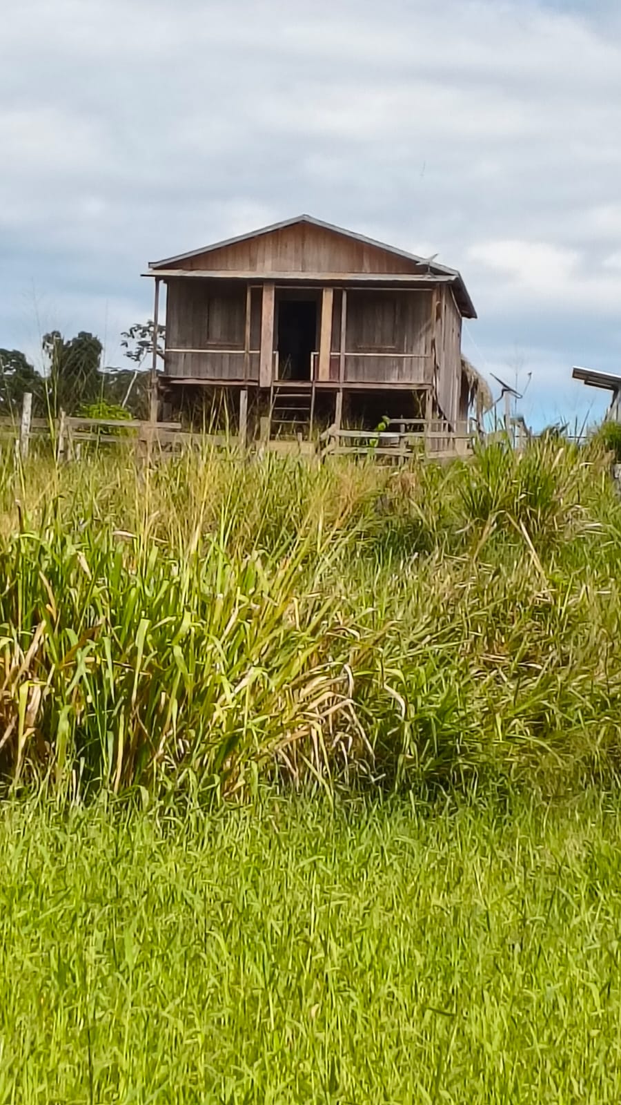Casa de madeira sobre palafitas, no alto do campo